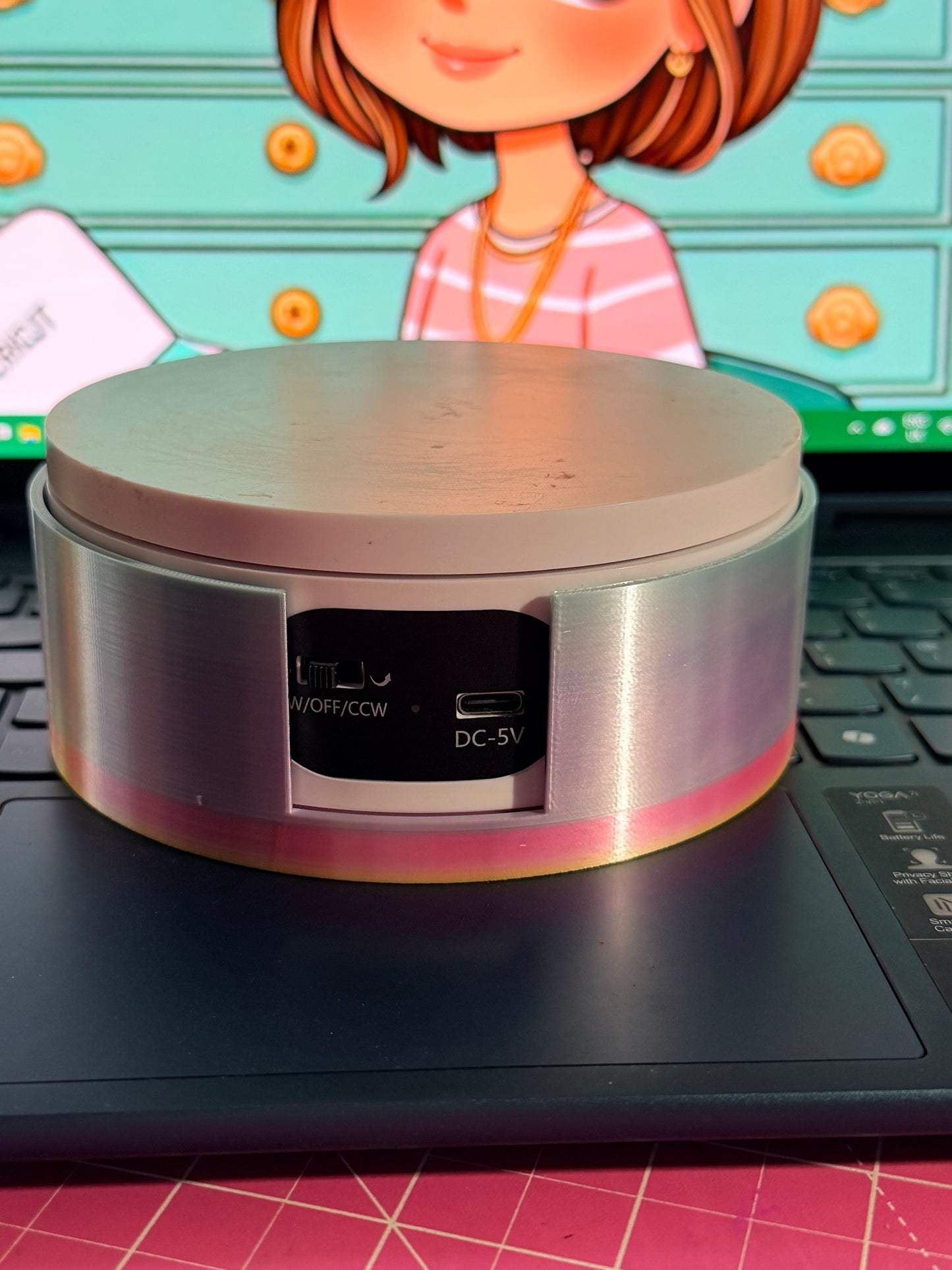 3d Printed Turntable Container, as used with my Carousel